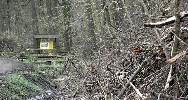 Bild: Katastrophe im Naherholungsgebiet