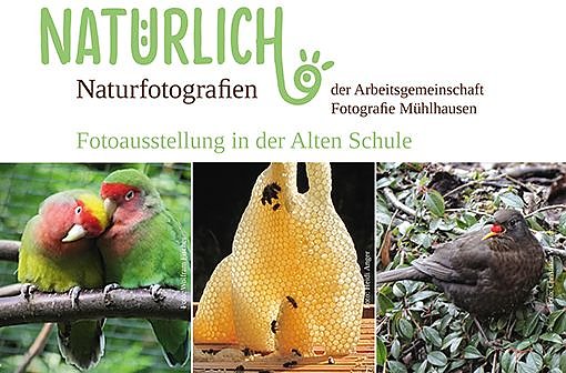 Bild: Plakat der Ausstellung