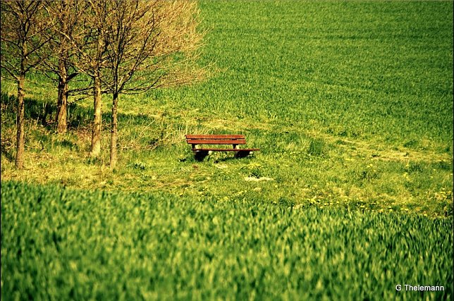 Bild: Wetter-Bild