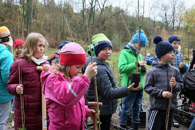 Bild: Die Grundsch&uuml;ler haben Hainbuchen, Vogelkirschen und Holz&auml;pfel gepflanzt.