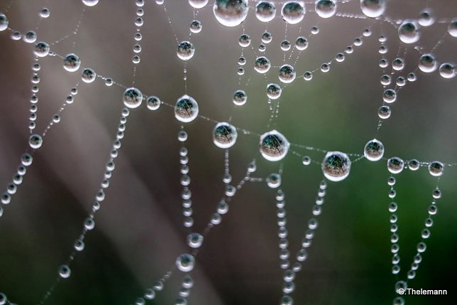 Bild: Wetter-Bild