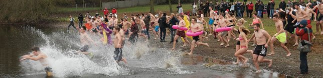 Bild: Ab ins Wasser