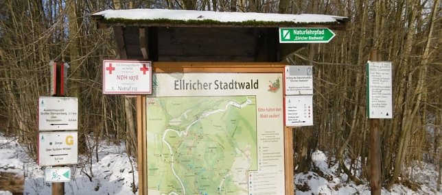 Bild: Stadtwald Ellrich eine Perle des S&uuml;dharzes
