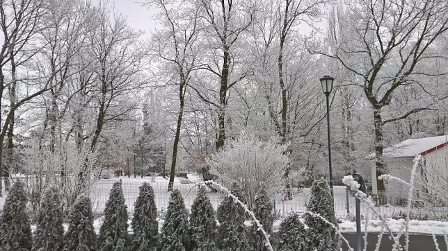 Bild: Wei&szlig;er Rosengarten