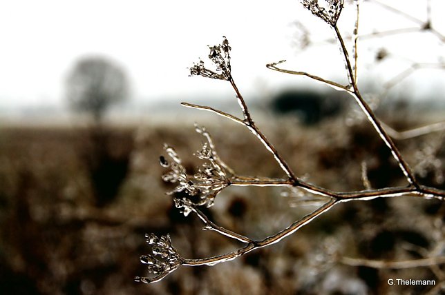 Bild: Wetter-Bild