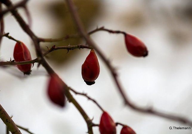Bild: Wetter-Bild