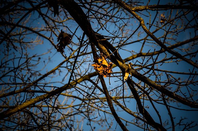 Bild: Wetter-Bild
