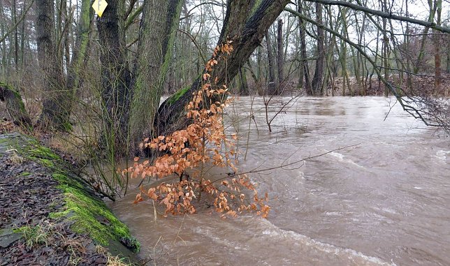 Bild: Die Zorge gestern am Nordh&auml;user Stadtpark