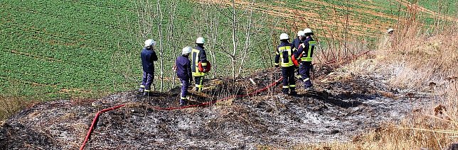 Bild: Fl&auml;chenbrand bei Sollstedt