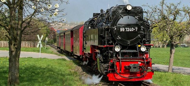 Bild: Dampflokheizer fehlen