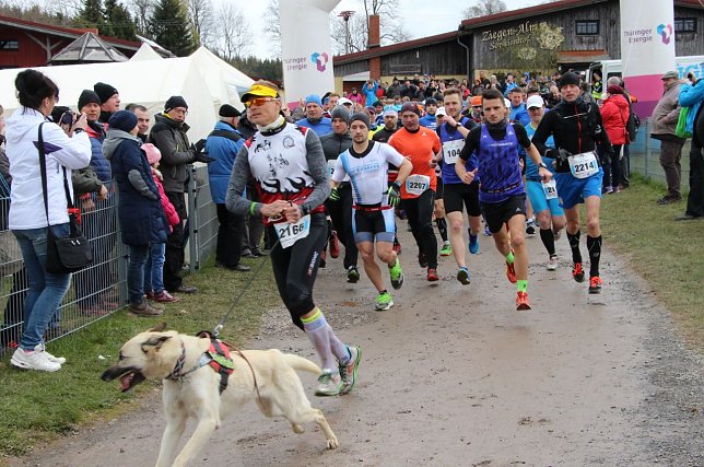 Bild: Neuer Rekord beim Harztorlauf 2017