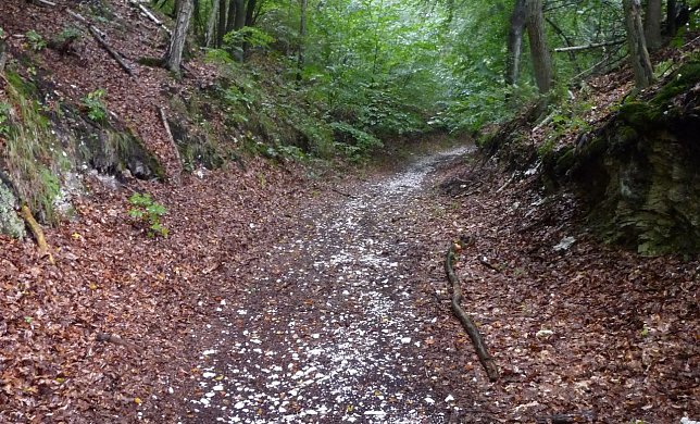 Bild: Hohlweg durch den Alten Stolberg