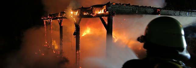 Bild: Carport und Renault gingen in Flammen auf