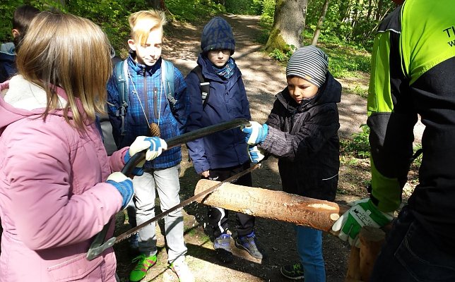 Bild: Waldjugendspiele in Ilfeld
