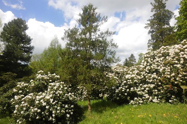 Bild: Park Hohenrode