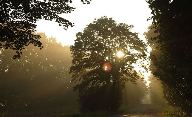 Bild: Wetter-Bild