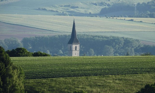 Bild: Petriturm