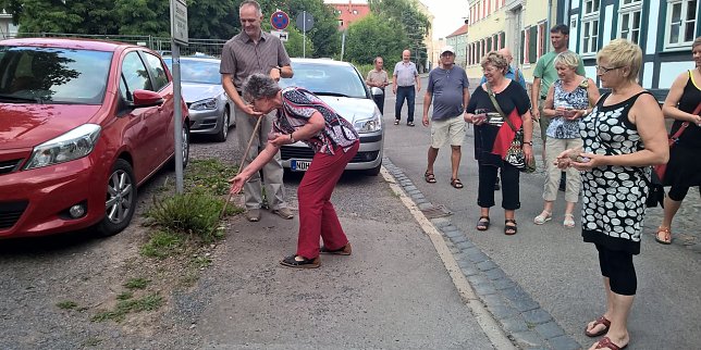 Bild: Samenbombben geworfen