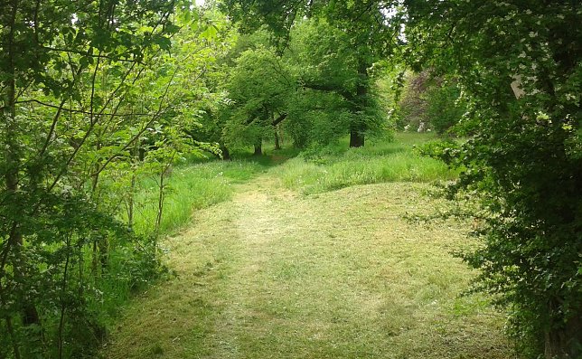 Bild: Blick in den Park