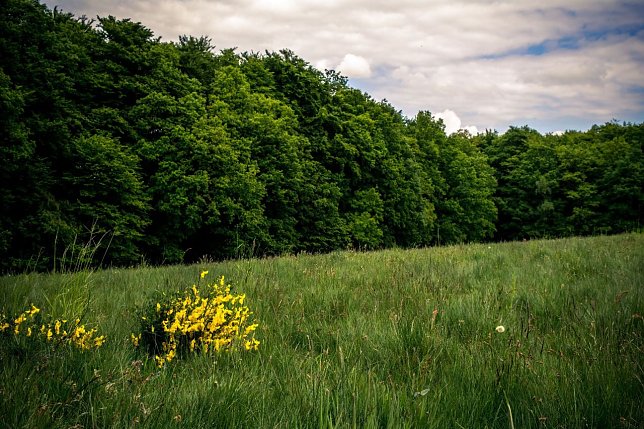 Bild: Wetter-Bild
