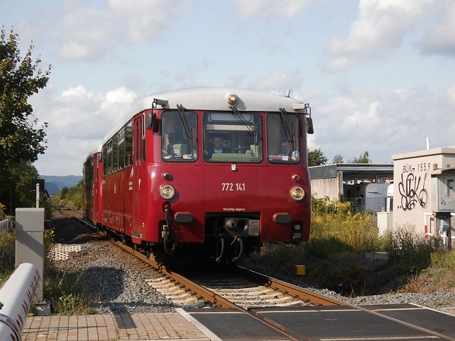 Bild: Ferkeltaxi unterwegs