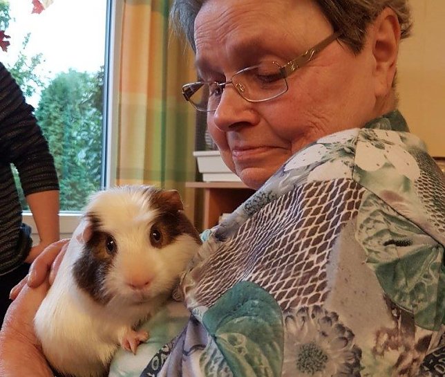 Bild: Tierische Freunde