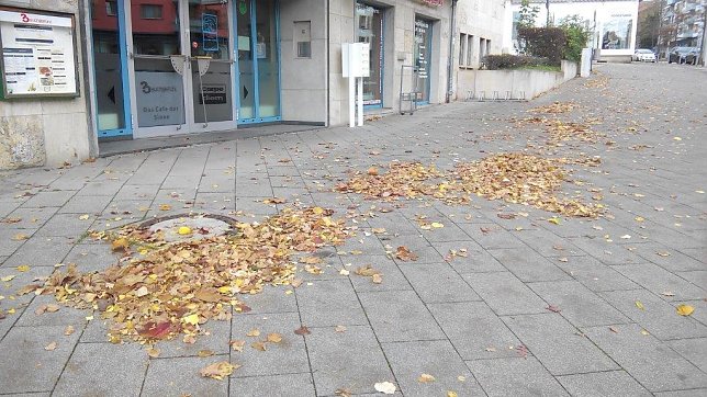 Bild: Noch nicht vom Winde verweht