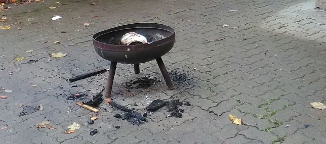 Bild: Riesige Schweinerei in Harztor