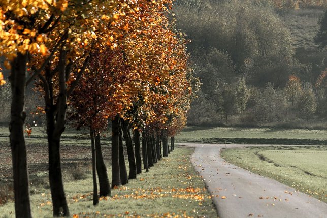 Bild: Herbstwetter