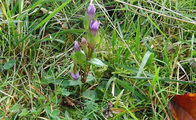 Bild: Lob an Naturschutzbeh&ouml;rden in Sachsen-Anhalt