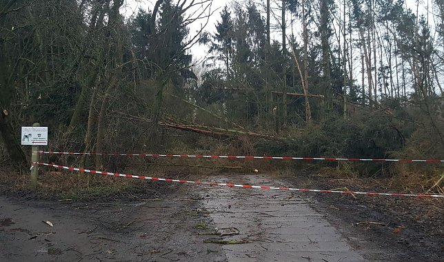 Bild: Hier w&uuml;tete Friederike