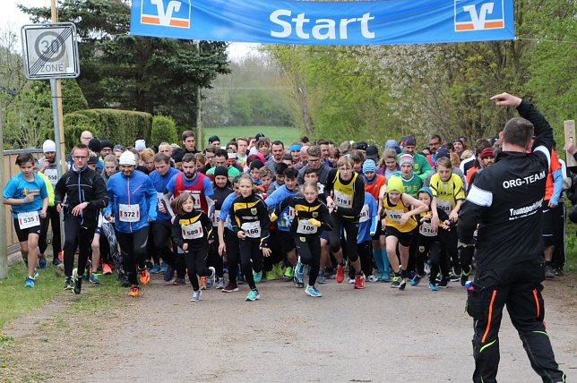 Bild: Harztorlauf 2017