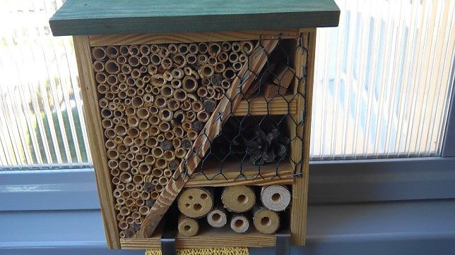Bild: Blumenk&auml;sten auf dem Balkon mit bl&uuml;hendem Bienenfutter und  ein kleines Insektenhotel daneben nehmen auch Mauerbienen gern an.