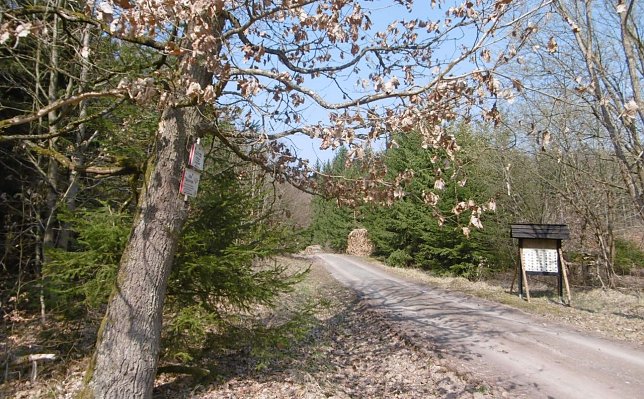 Bild: Wissenswertes &uuml;ber die Natur