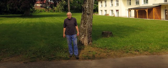 Bild: Schlosspark in Werther soll erhalten werden