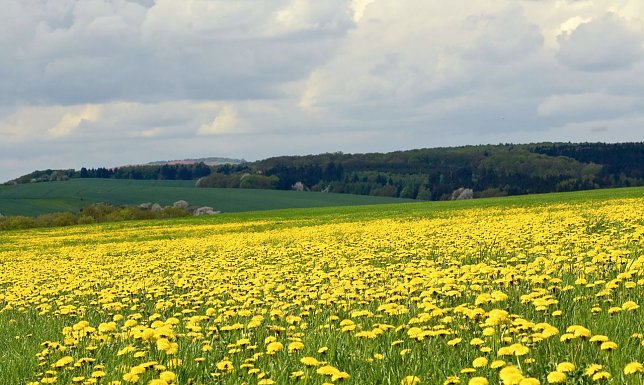Bild: Wetterbild