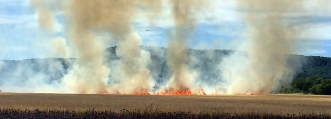 Bild: Feldbrand zwischen Gro&szlig;- und Kleinfurra