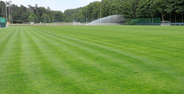 Bild: Der neue Trainingsplatz