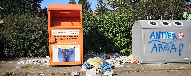 Bild: Dummheit oder Dreistigkeit