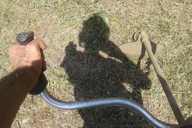 Bild: Bei 35 Grad im Schatten