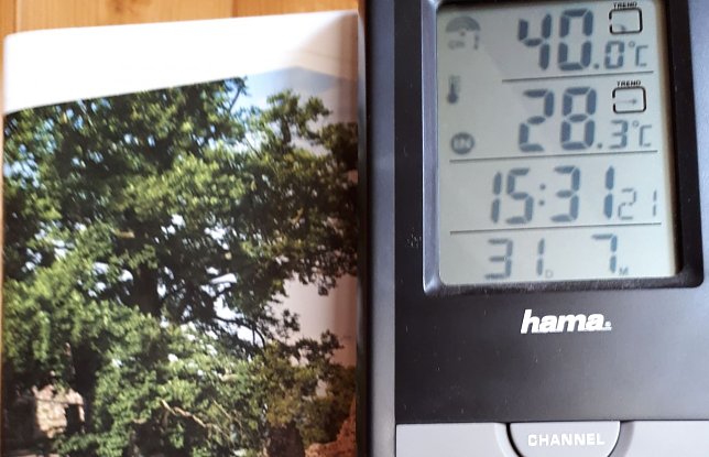 Bild: Auch in Neustadt wurde die 40-Grad-Marke erreicht