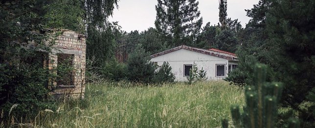Bild: Die Natur holt sich Repente St&uuml;ck f&uuml;r St&uuml;ck zur&uuml;ck