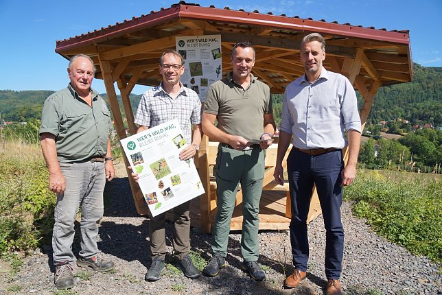Bild: Neuer Infopunkt auf dem M&uuml;hlberg