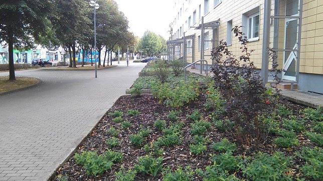 Bild: Ein Modellprojekt und die Kleinigkeiten am Rande
