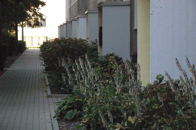 Bild: Ein Modellprojekt und die Kleinigkeiten am Rande