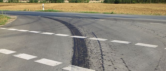 Bild: Die Spur f&uuml;hrte bis nach Hamma