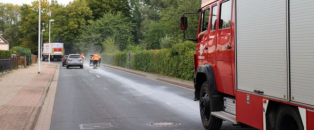 Bild: F&uuml;nf Kilometer lange Dieselspur beseitigt