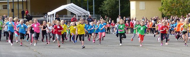 Bild: Herbstcross im Nordh&auml;user Gehege