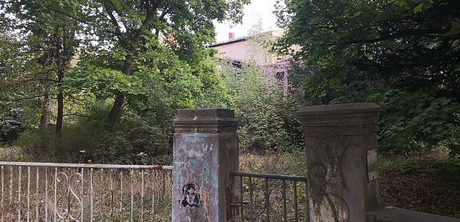 Bild: Nach mehr als 20 Jahren Verfall - der Lindenhof