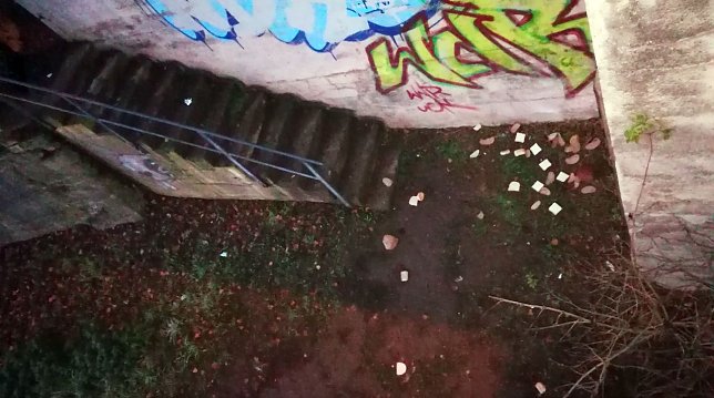 Bild: Wei&szlig;brot einfach weggeschmissen